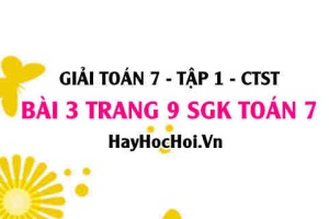 Giải bài 3 trang 9 Toán 7 Tập 1 SGK Chân trời sáng tạo
